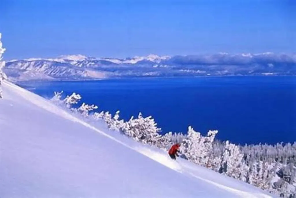 Apartament Ski In/Out - Zalanta - Great Location- 2 Hot Tubs - Heated Pool South Lake Tahoe