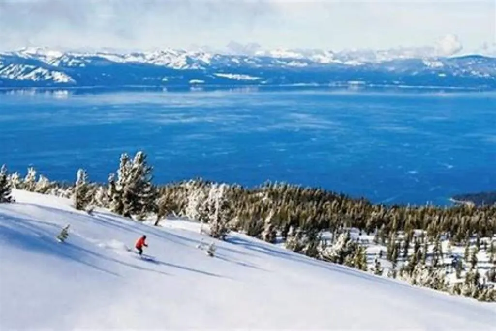 Ski In/Out - Zalanta - Great Location- 2 Hot Tubs - Heated Pool South Lake Tahoe 0*,